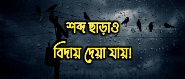 শব্দ ছাড়াও বিদায় দেয়া যায়!